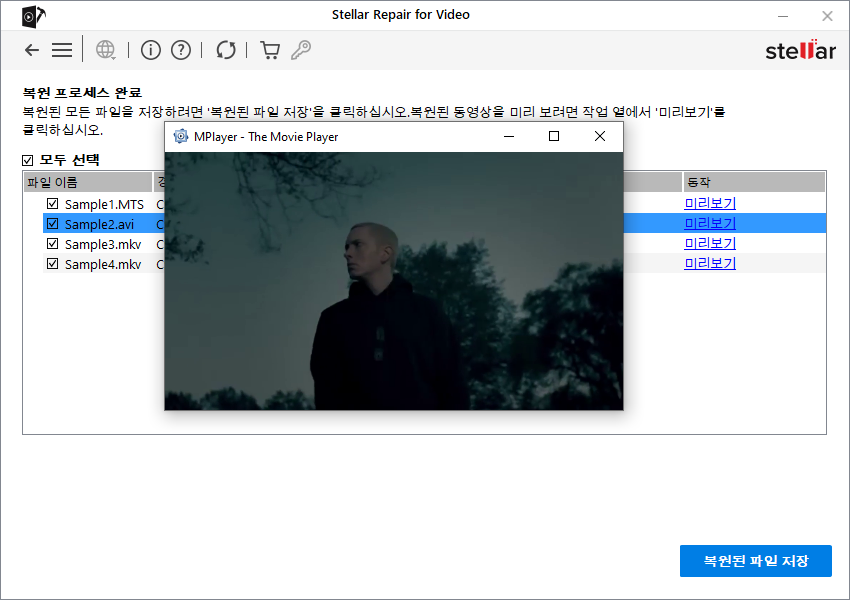 //www.photo-criticism.com/help/public/onlinehelp_img/stellar-repair-for-video-6-windows-standard-en/previewing-and-saving-files/preview.png