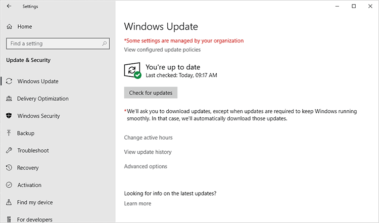 检查Windows中的更新